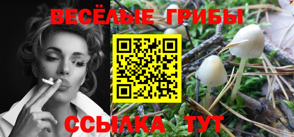 Скопин  Псилоцибиновые грибы мухоморы  Вход с VPN 